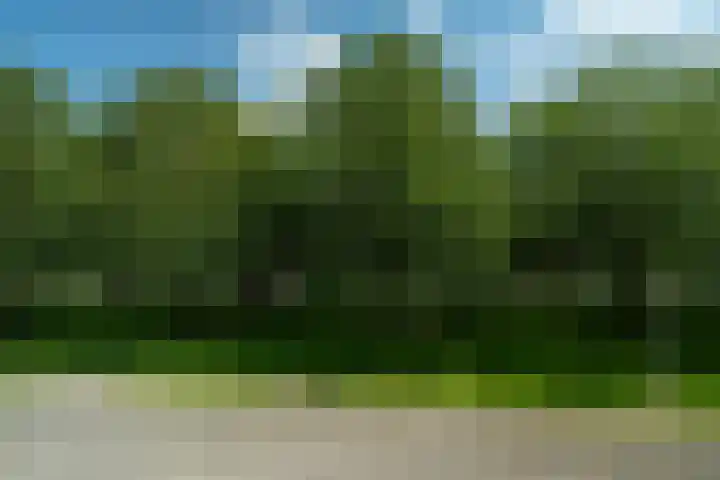 Gerniersstrjitte 15 Burgum thumbnail 54