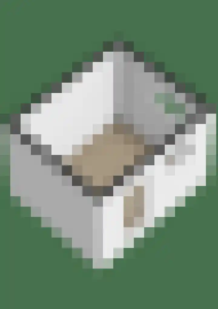Gerniersstrjitte 15 Burgum thumbnail 60