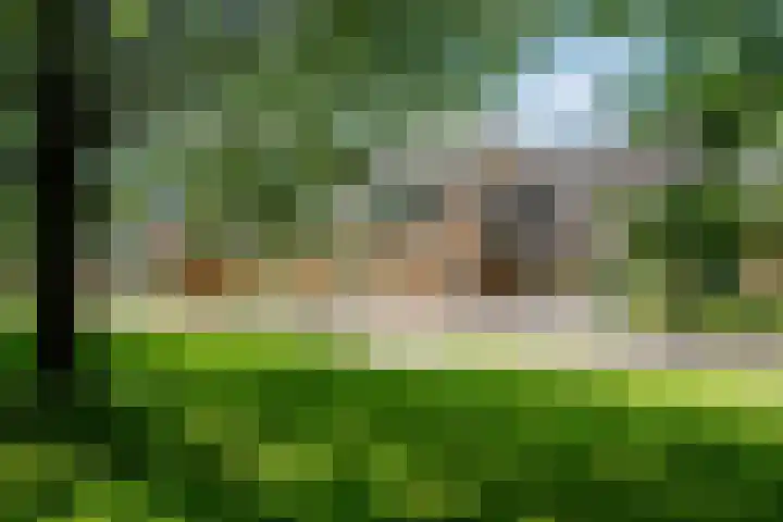 Gerniersstrjitte 15 Burgum thumbnail 67
