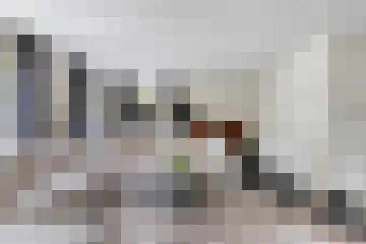 Gerniersstrjitte 31 Burgum thumbnail 13