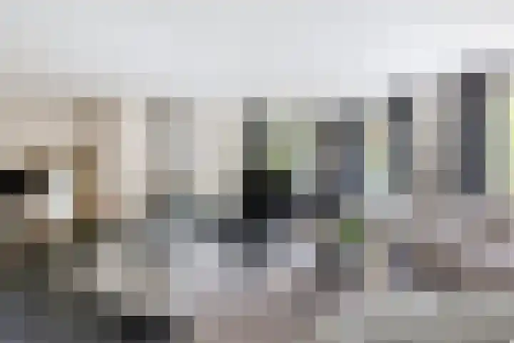 Gerniersstrjitte 31 Burgum thumbnail 14