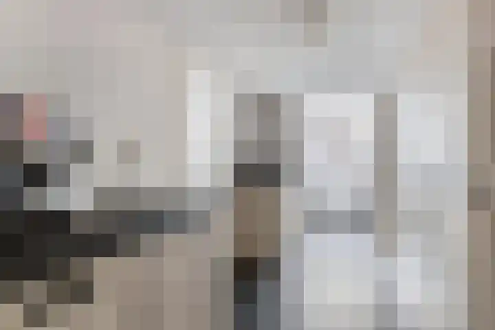 Gerniersstrjitte 31 Burgum thumbnail 20