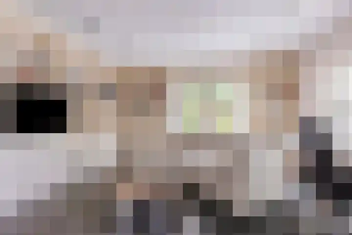 Gerniersstrjitte 31 Burgum thumbnail 21