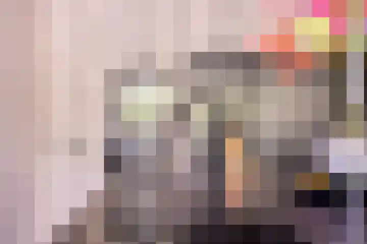 Gerniersstrjitte 31 Burgum thumbnail 25