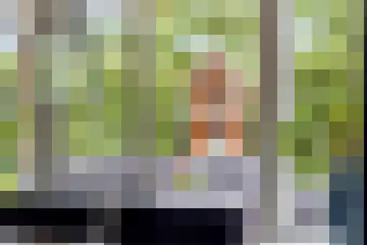 Gerniersstrjitte 31 Burgum thumbnail 28