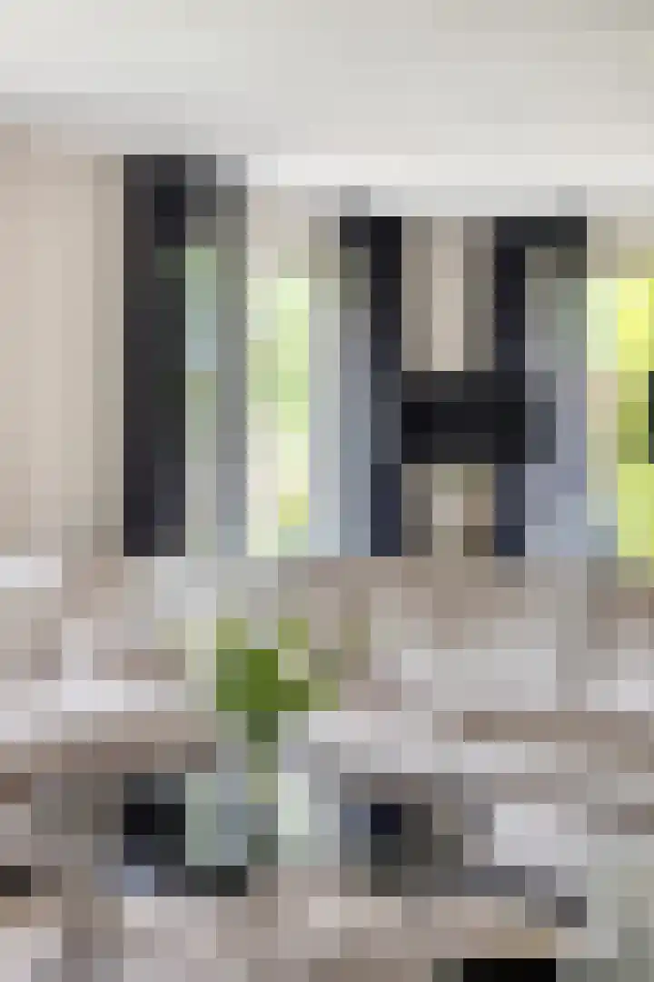 Gerniersstrjitte 31 Burgum thumbnail 31