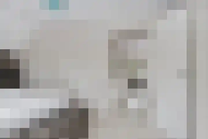Gerniersstrjitte 31 Burgum thumbnail 35