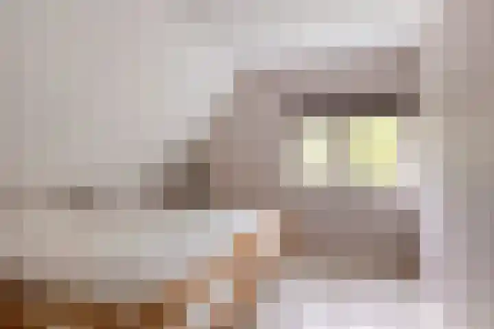 Gerniersstrjitte 31 Burgum thumbnail 40
