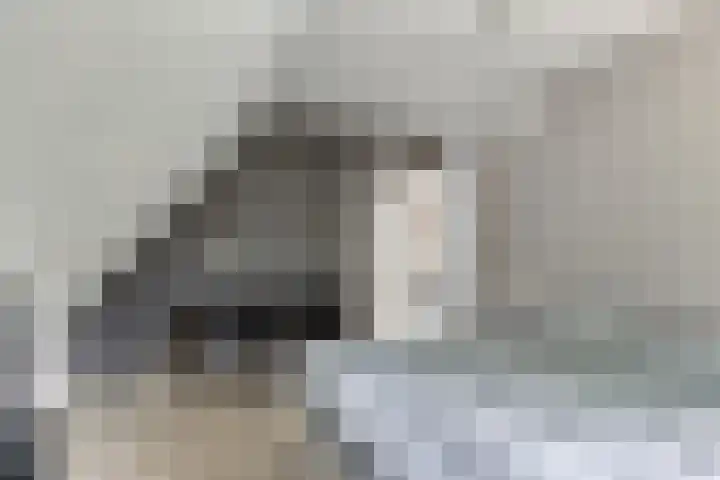 Gerniersstrjitte 31 Burgum thumbnail 42