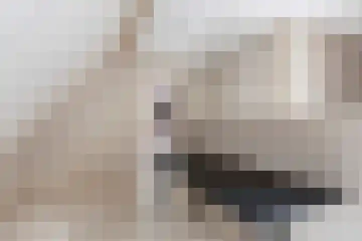 Gerniersstrjitte 31 Burgum thumbnail 43