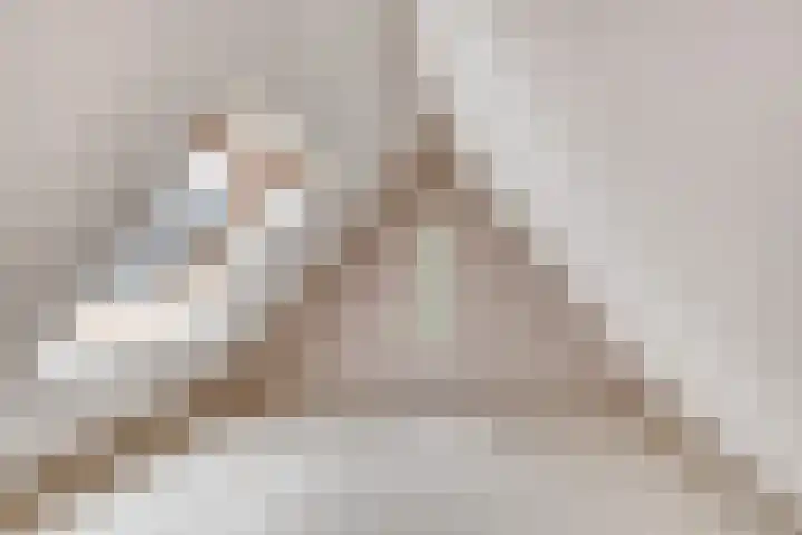 Gerniersstrjitte 31 Burgum thumbnail 47