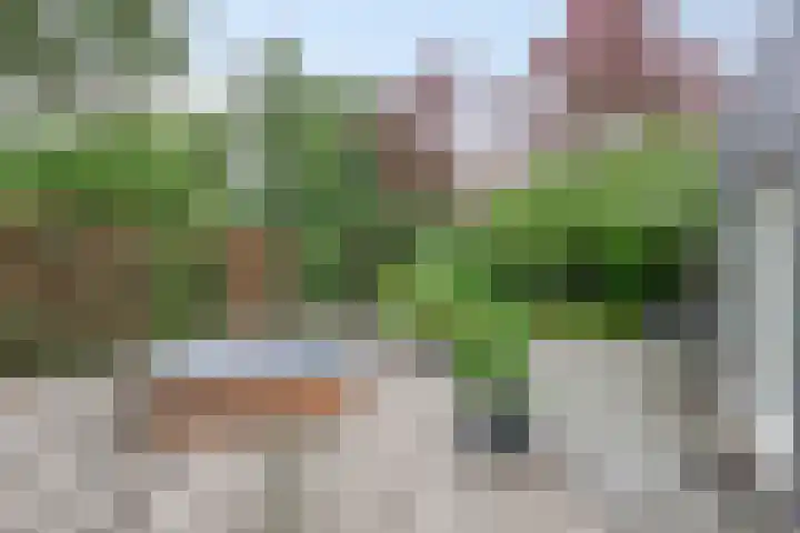 Gerniersstrjitte 31 Burgum thumbnail 53