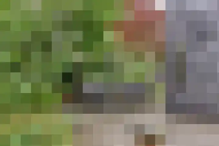 Gerniersstrjitte 31 Burgum thumbnail 57