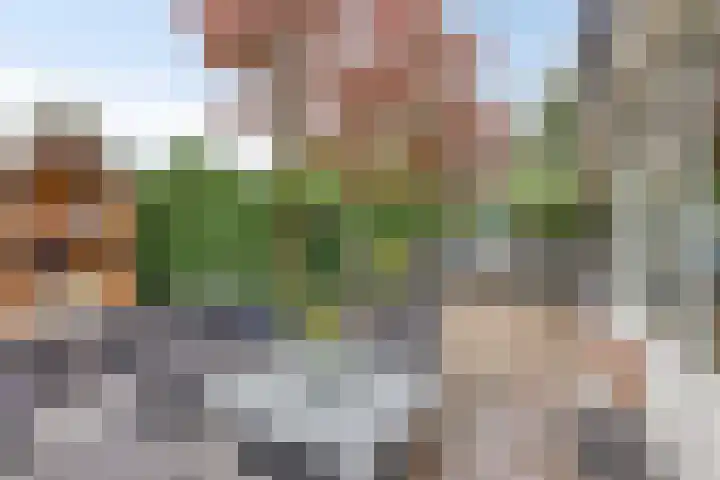 Gerniersstrjitte 31 Burgum thumbnail 58