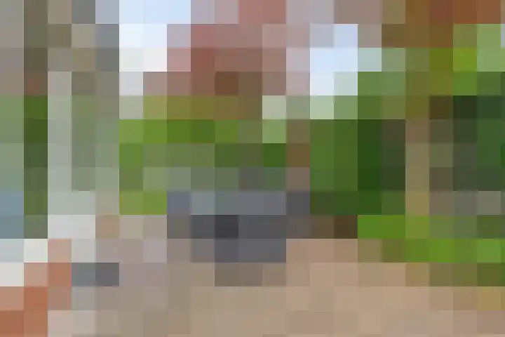Gerniersstrjitte 31 Burgum thumbnail 61