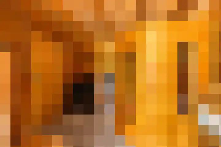 Gerniersstrjitte 31 Burgum thumbnail 65
