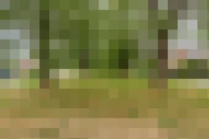 Gerniersstrjitte 31 Burgum thumbnail 67