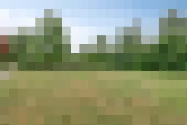 Gerniersstrjitte 31 Burgum thumbnail 68