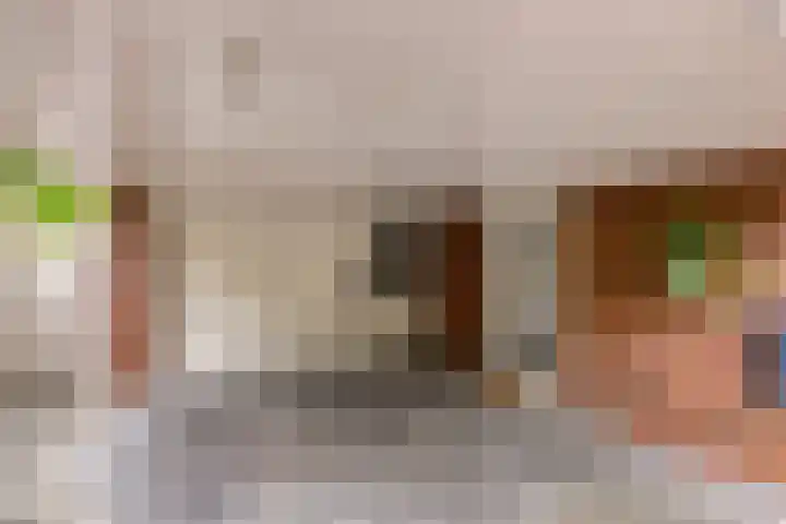 Gerniersstrjitte 31 Burgum thumbnail 8