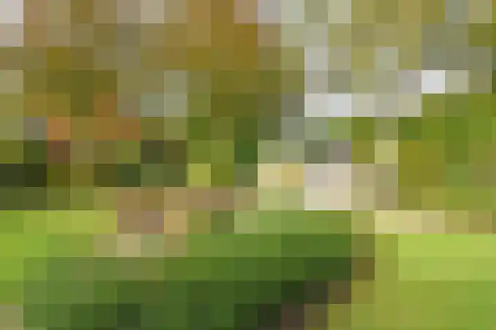 Gerniersstrjitte 7 Burgum thumbnail 10
