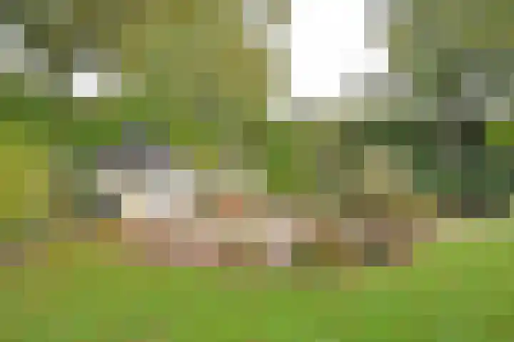 Gerniersstrjitte 7 Burgum thumbnail 11