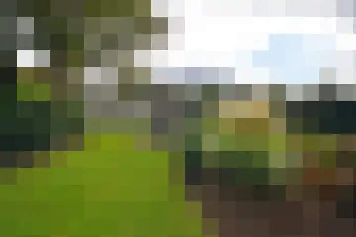 Gerniersstrjitte 7 Burgum thumbnail 12