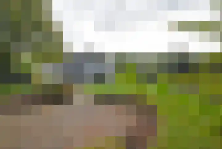 Gerniersstrjitte 7 Burgum thumbnail 13