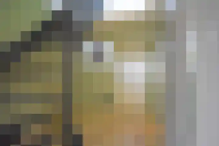Gerniersstrjitte 7 Burgum thumbnail 24