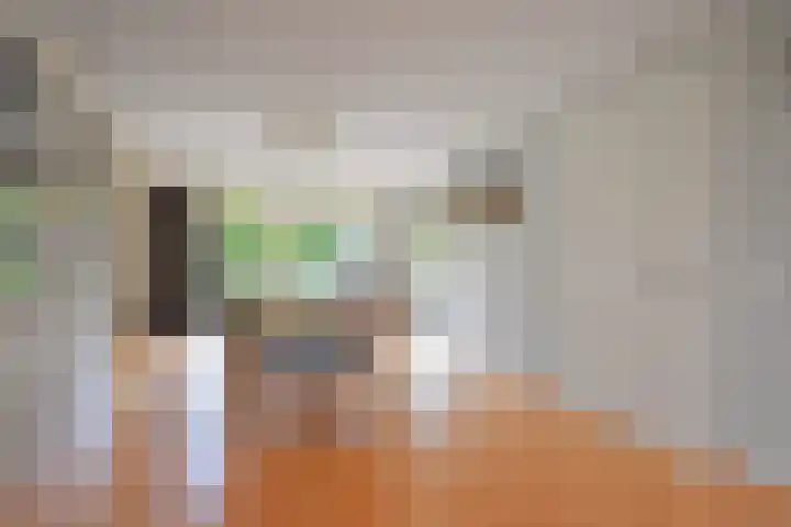 Gerniersstrjitte 7 Burgum thumbnail 32
