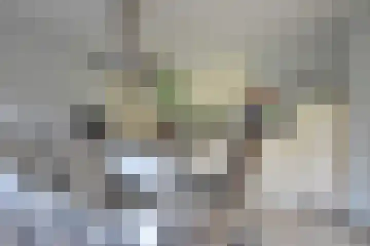 Gerniersstrjitte 7 Burgum thumbnail 34