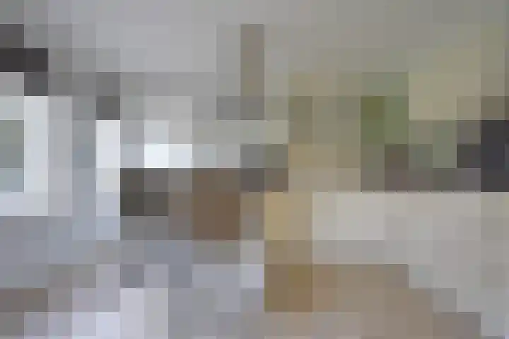 Gerniersstrjitte 7 Burgum thumbnail 35