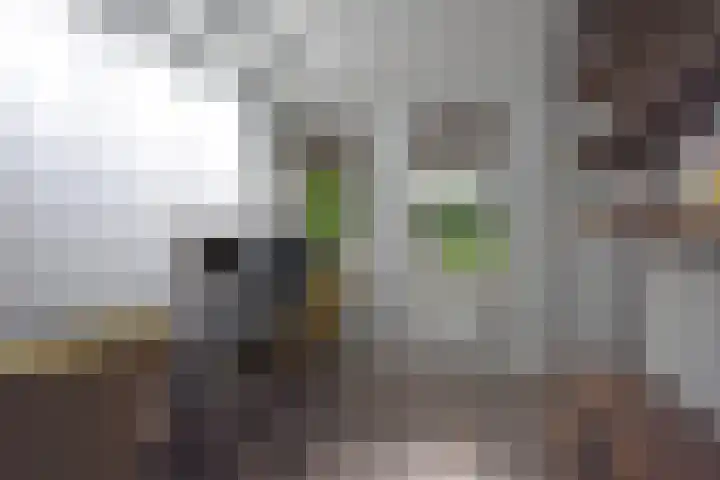 Gerniersstrjitte 7 Burgum thumbnail 39