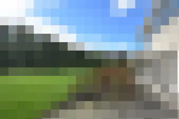 Gerniersstrjitte 7 Burgum thumbnail 5