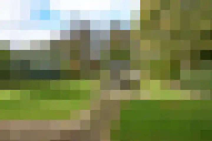 Gerniersstrjitte 7 Burgum thumbnail 6