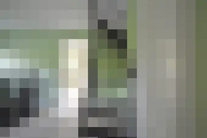 Gerniersstrjitte 7 Burgum thumbnail 62