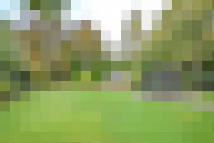 Gerniersstrjitte 7 Burgum thumbnail 9