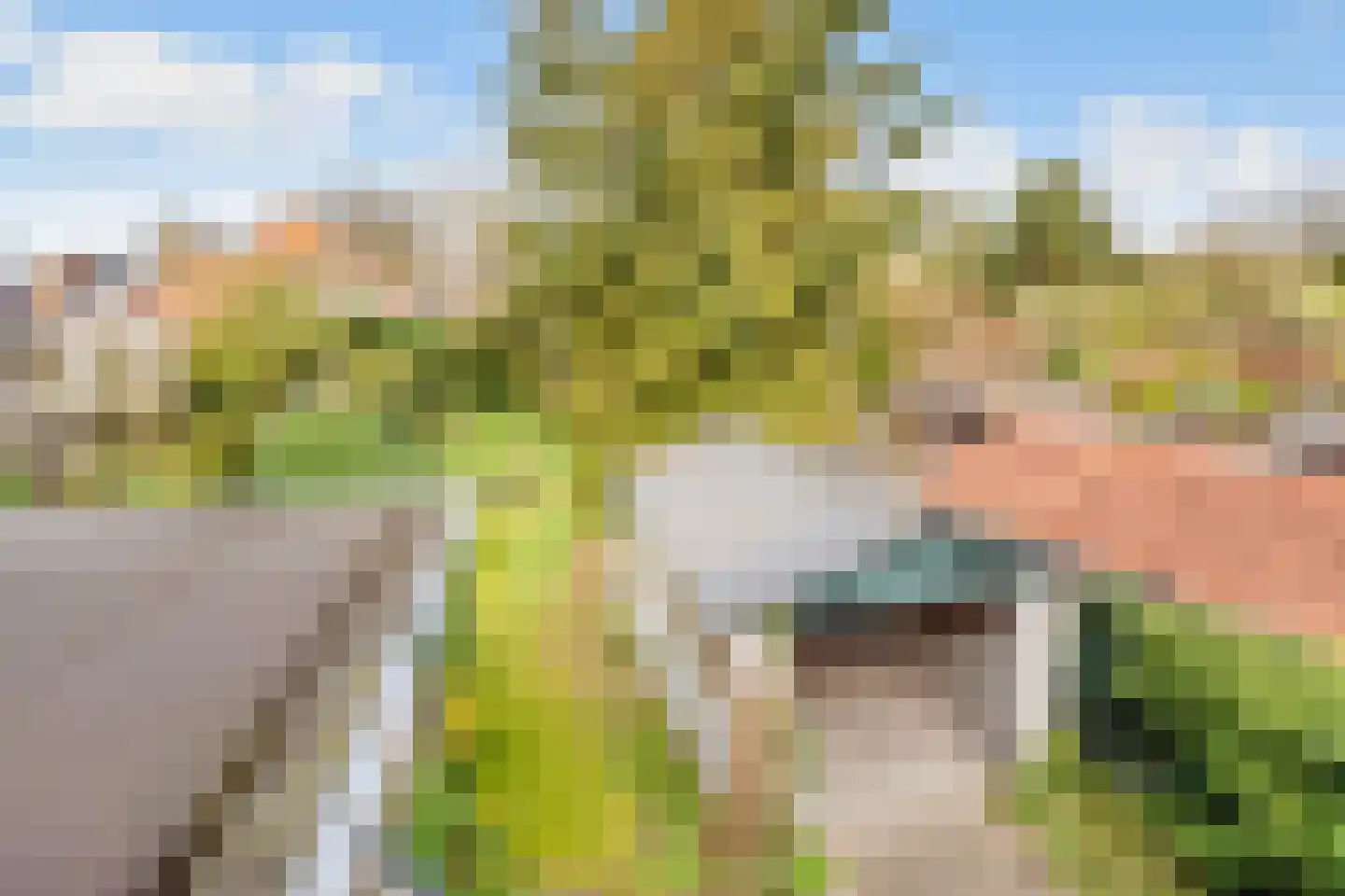 Gerolaan 24 Zeist thumbnail 23