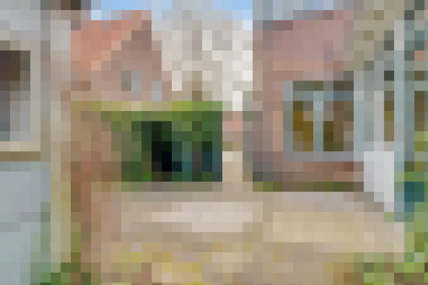 Gerolaan 24 Zeist thumbnail 36