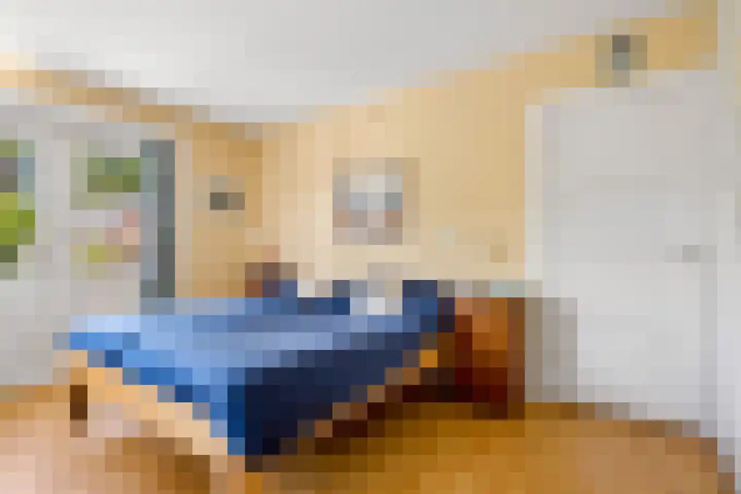 Gerolaan 44 Zeist thumbnail 41