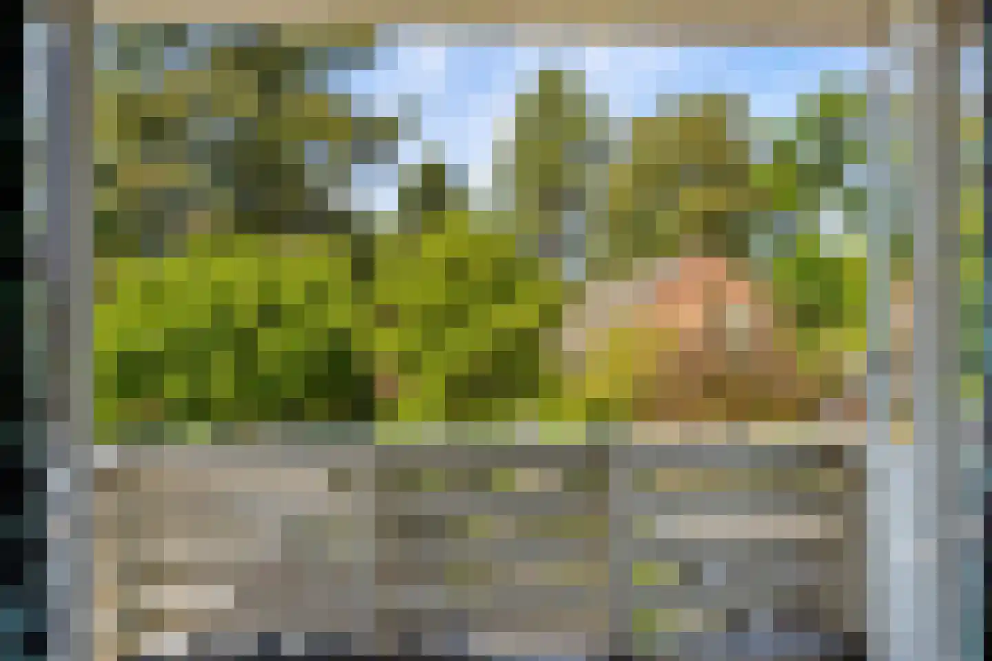 Gerolaan 44 Zeist thumbnail 46
