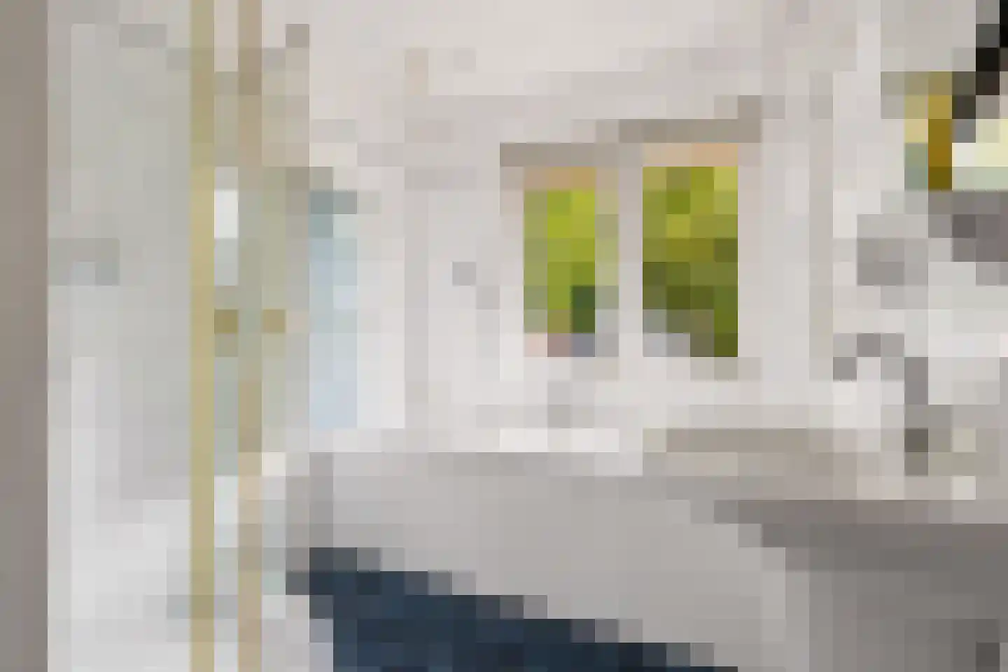 Gerolaan 44 Zeist thumbnail 49