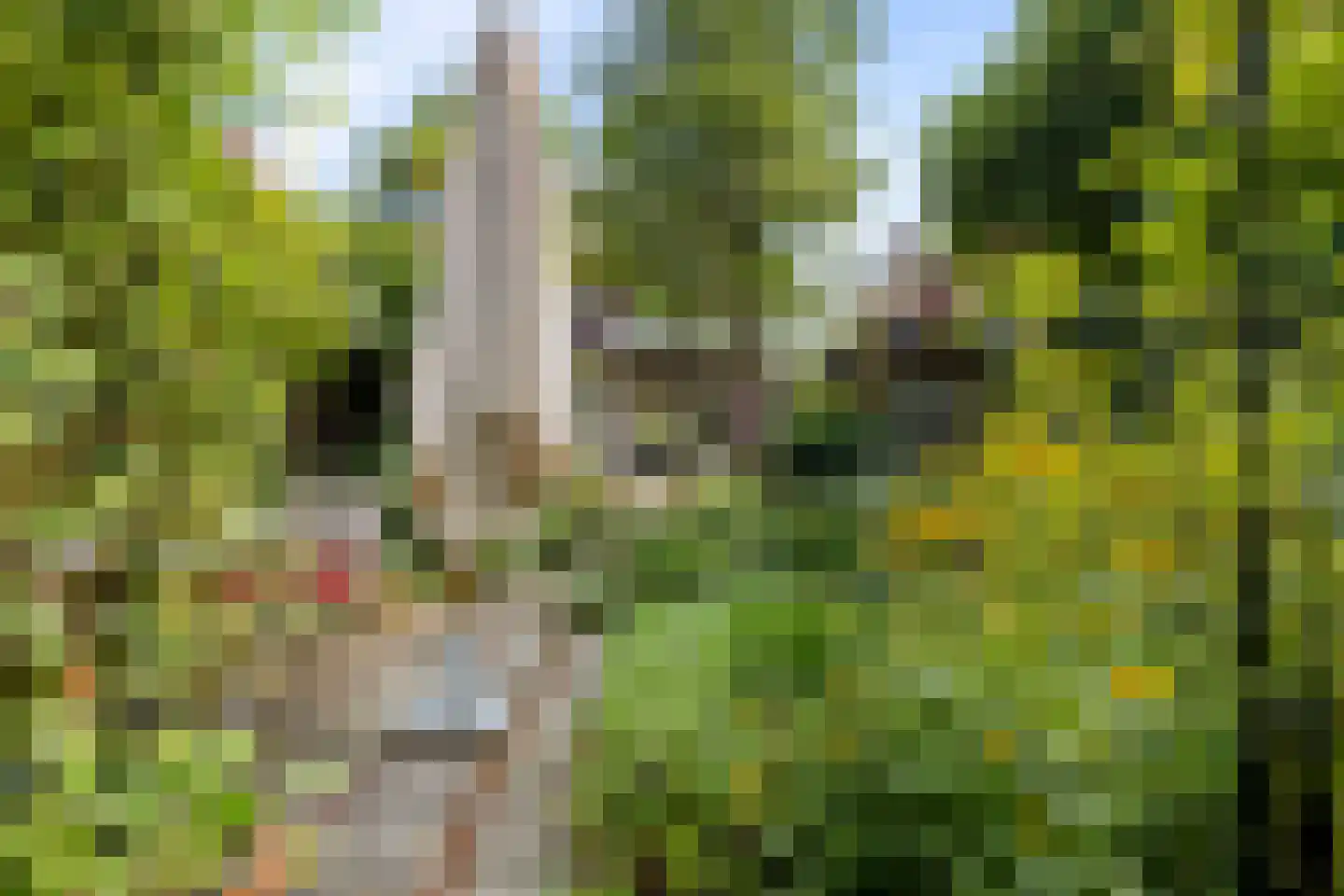 Gerolaan 44 Zeist thumbnail 5