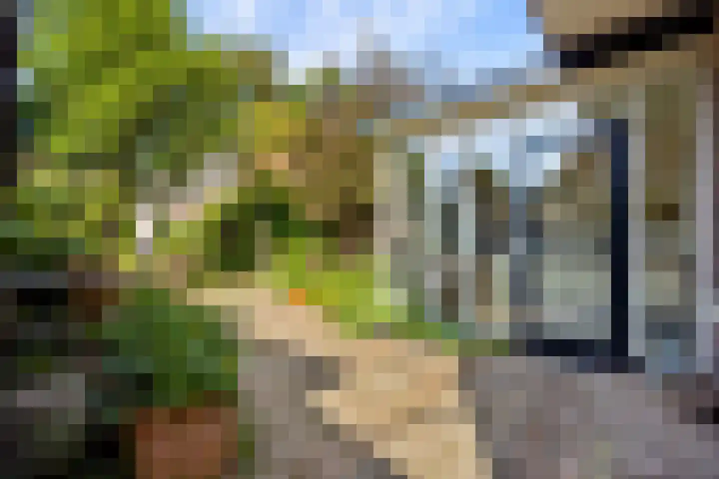 Gerolaan 44 Zeist thumbnail 60