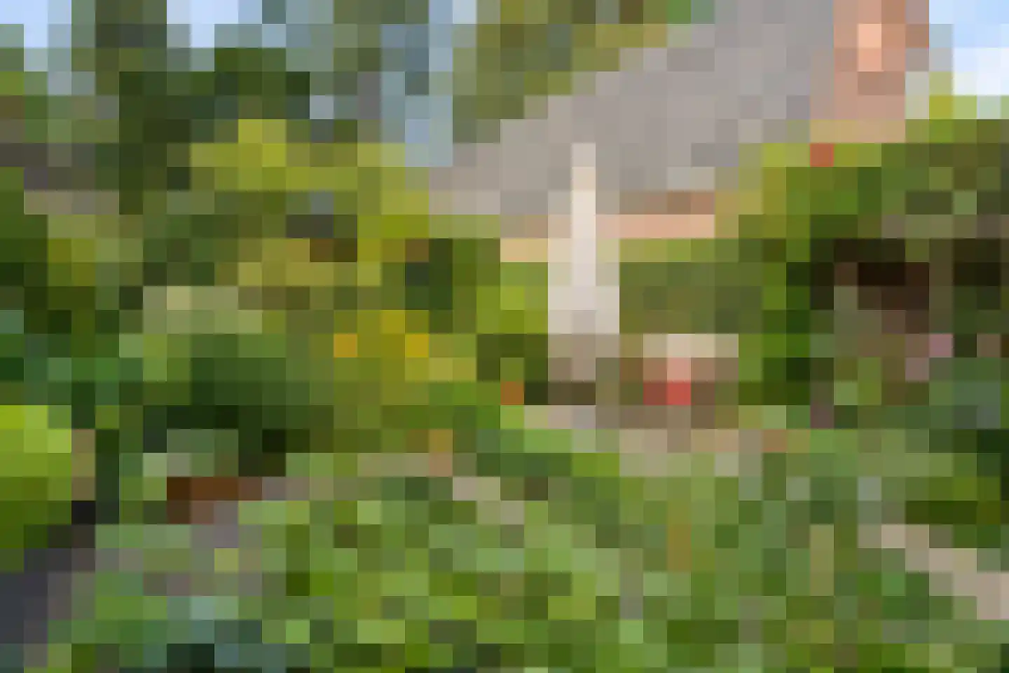 Gerolaan 44 Zeist thumbnail 62