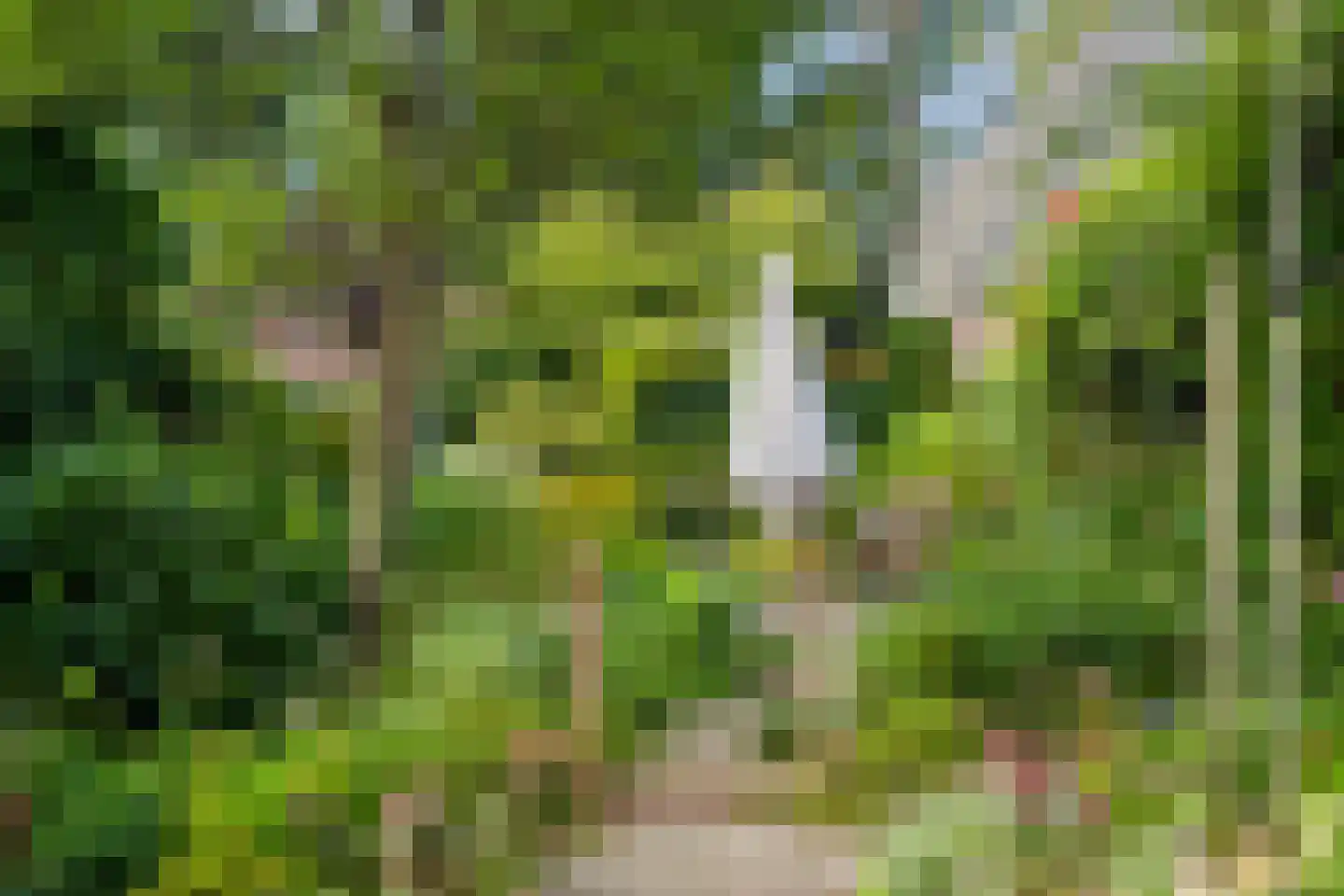 Gerolaan 44 Zeist thumbnail 64
