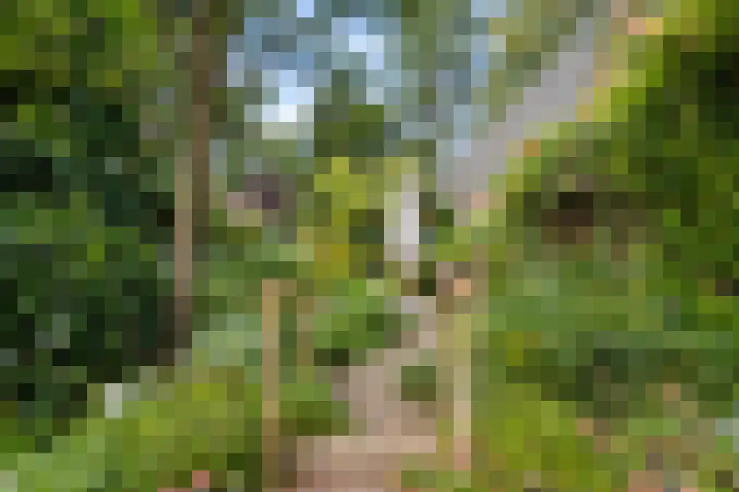 Gerolaan 44 Zeist thumbnail 65