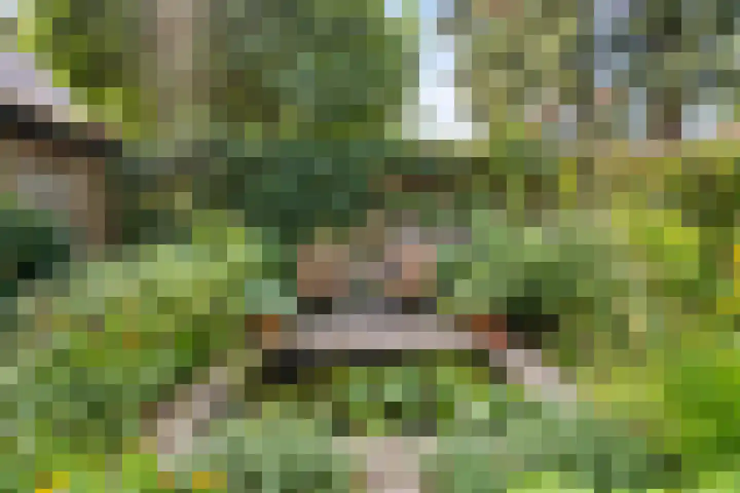 Gerolaan 44 Zeist thumbnail 66