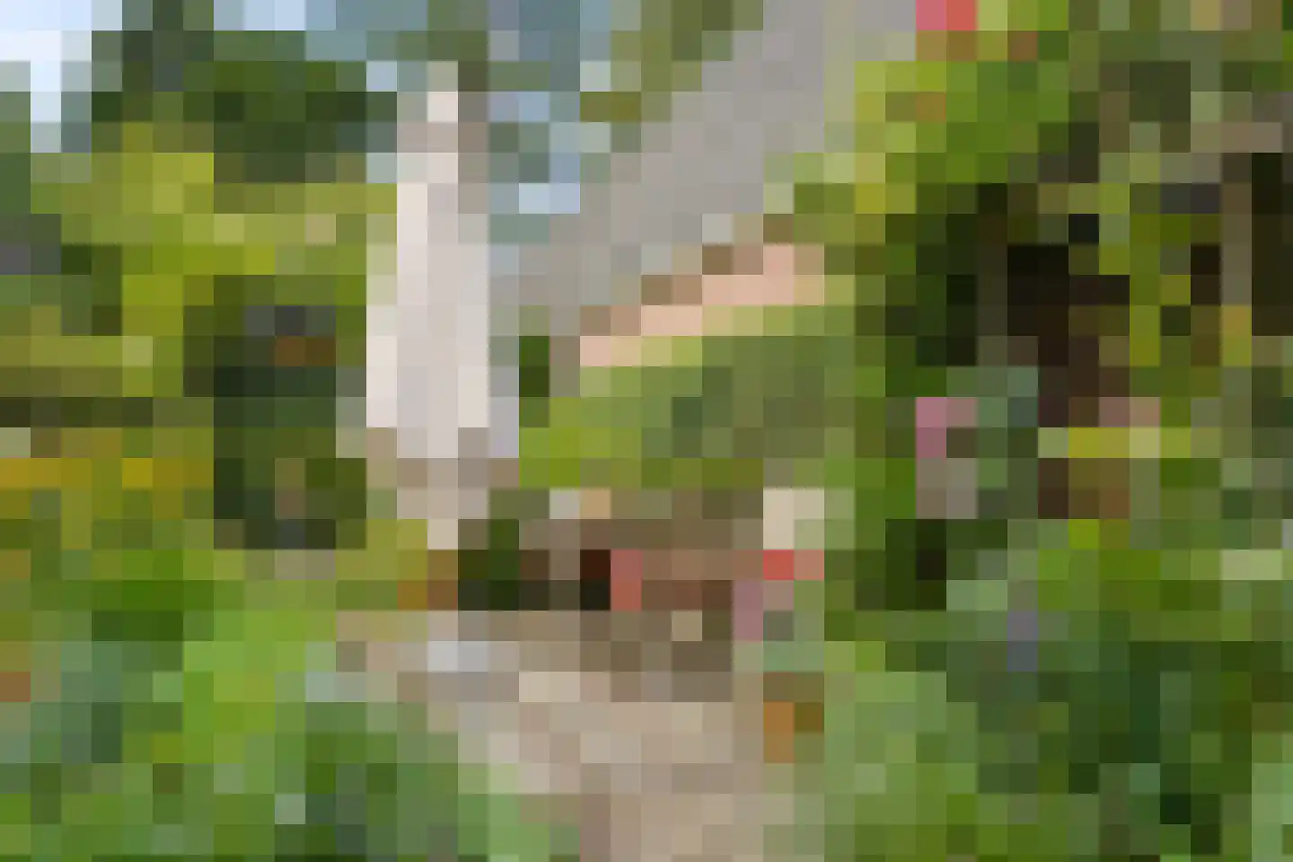 Gerolaan 44 Zeist thumbnail 67