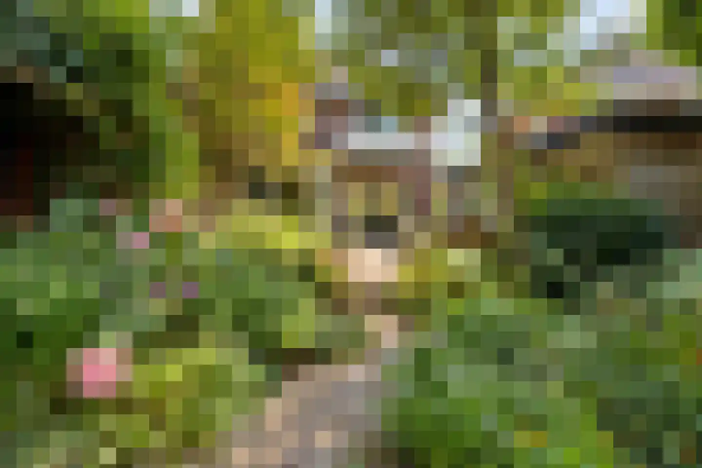 Gerolaan 44 Zeist thumbnail 68