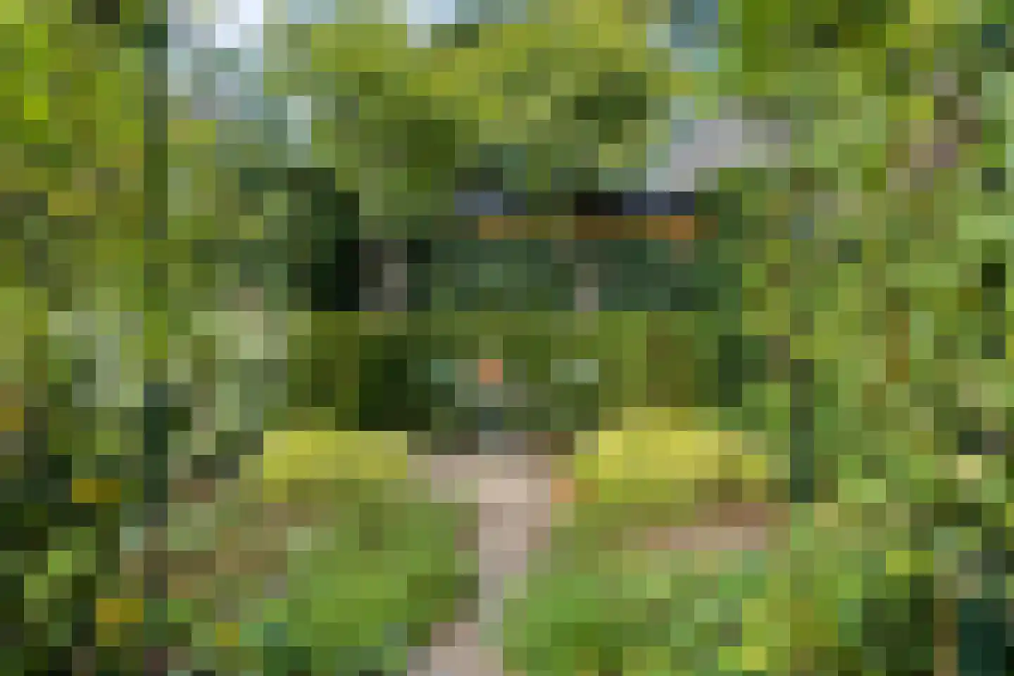 Gerolaan 44 Zeist thumbnail 70